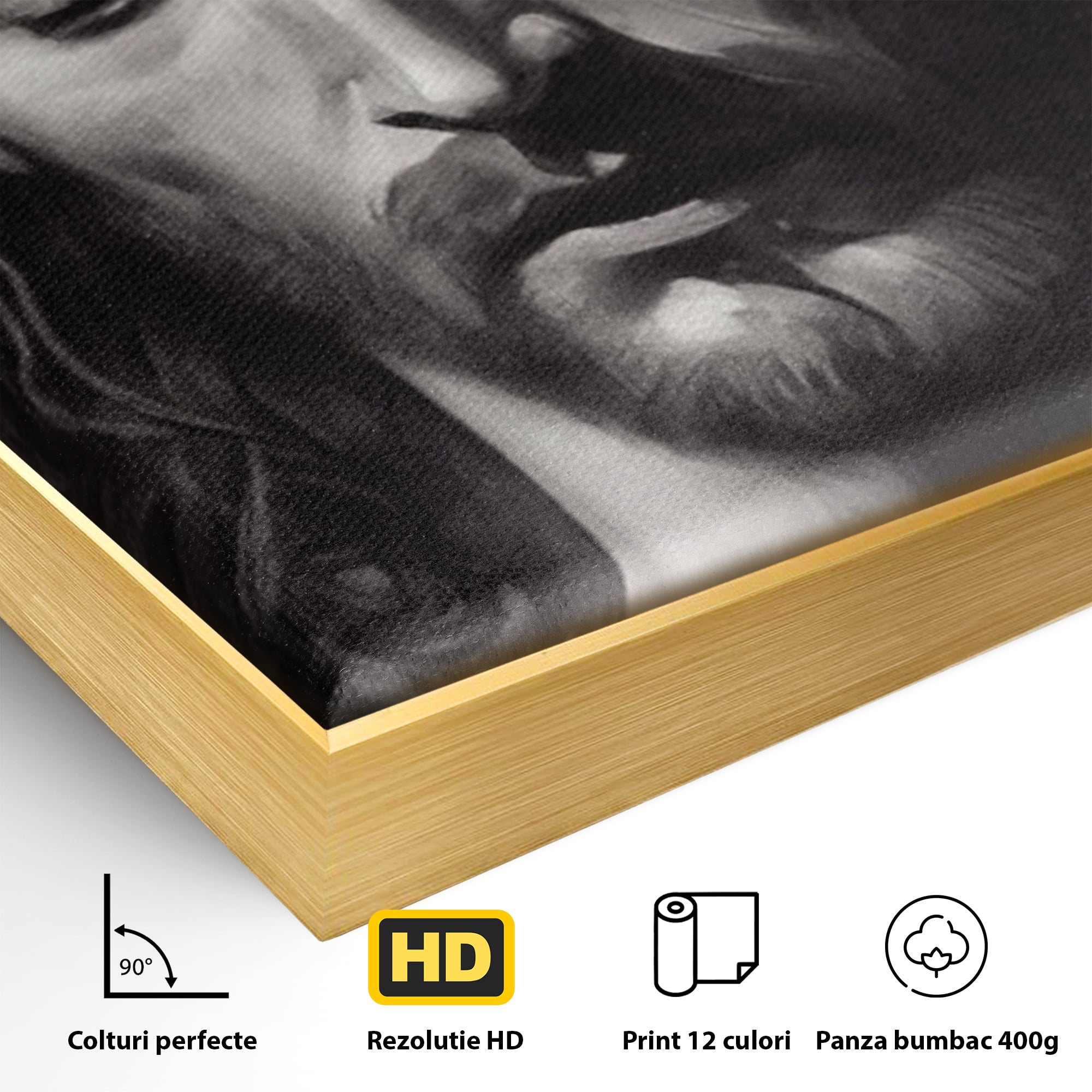 Detaliu al suprafetei: tablou canvas cu portretul lui iisus, in rama de aluminiu auriu